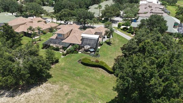 DRONEVIEW