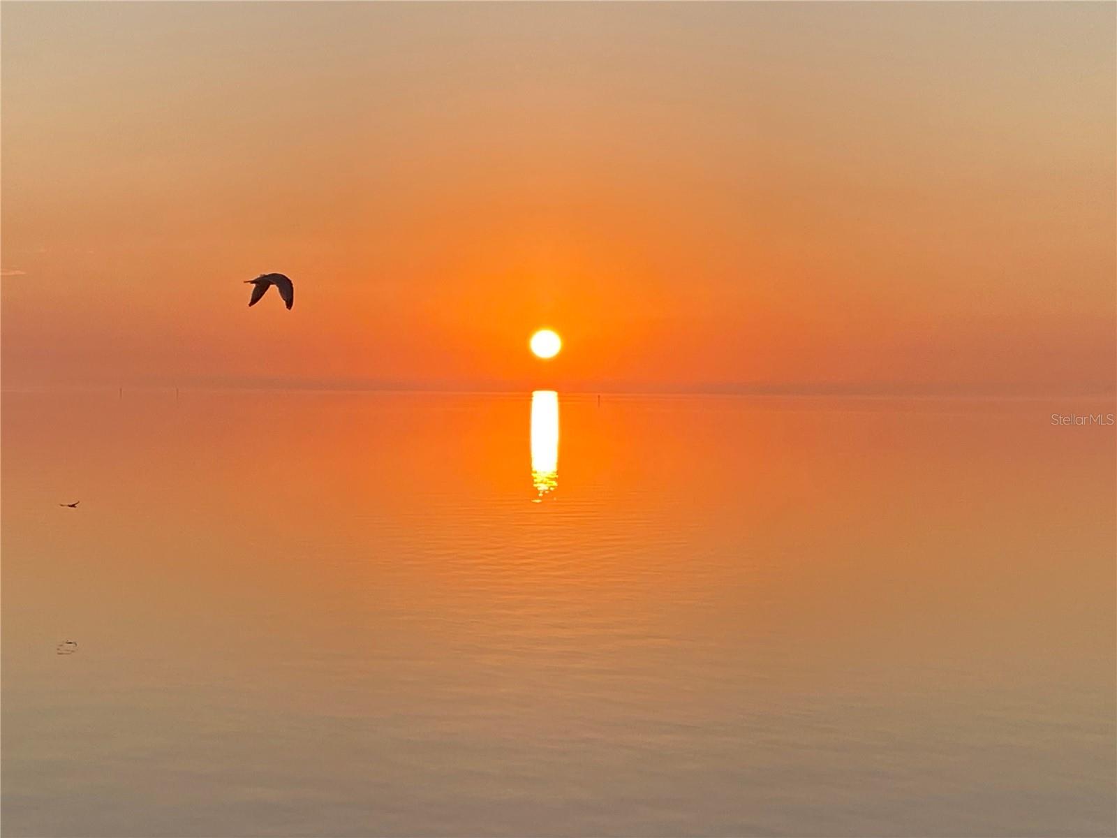 Sunrise views from your Balcony