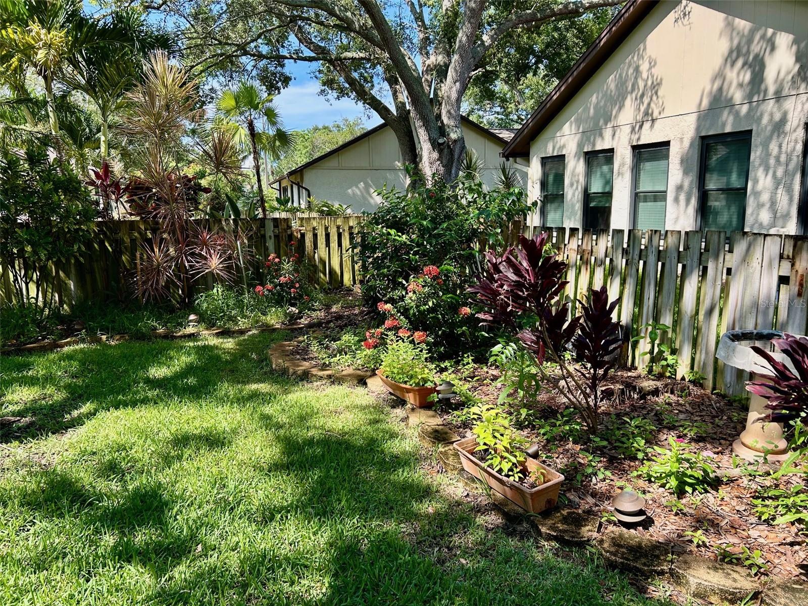 Backyard With Gardens