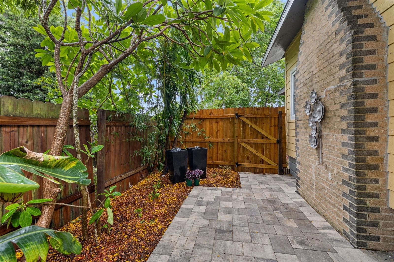 Main House Backyard