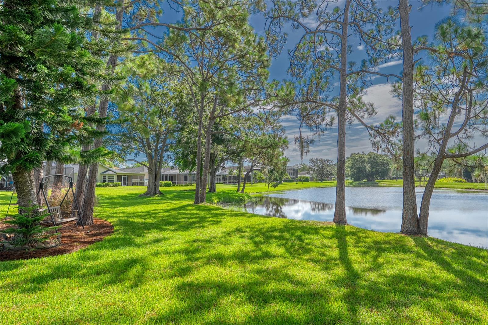 Backyard view