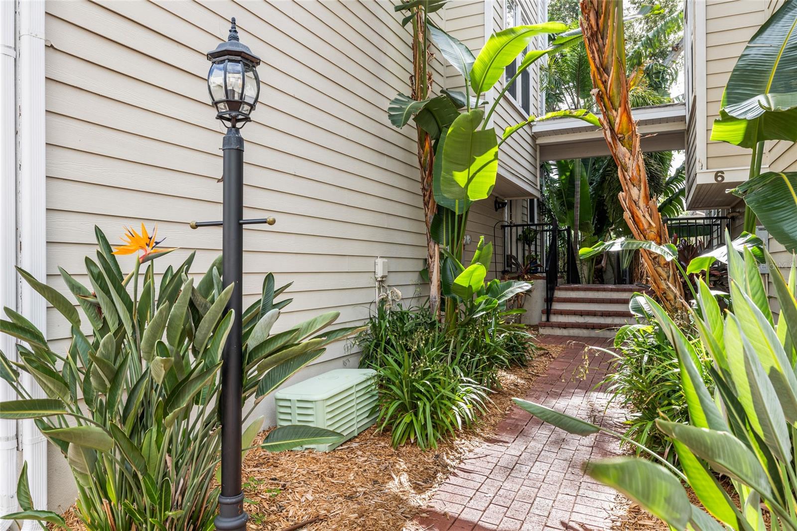 Courtyard heading to the door with a beautiful blooming Bird of Paradise
