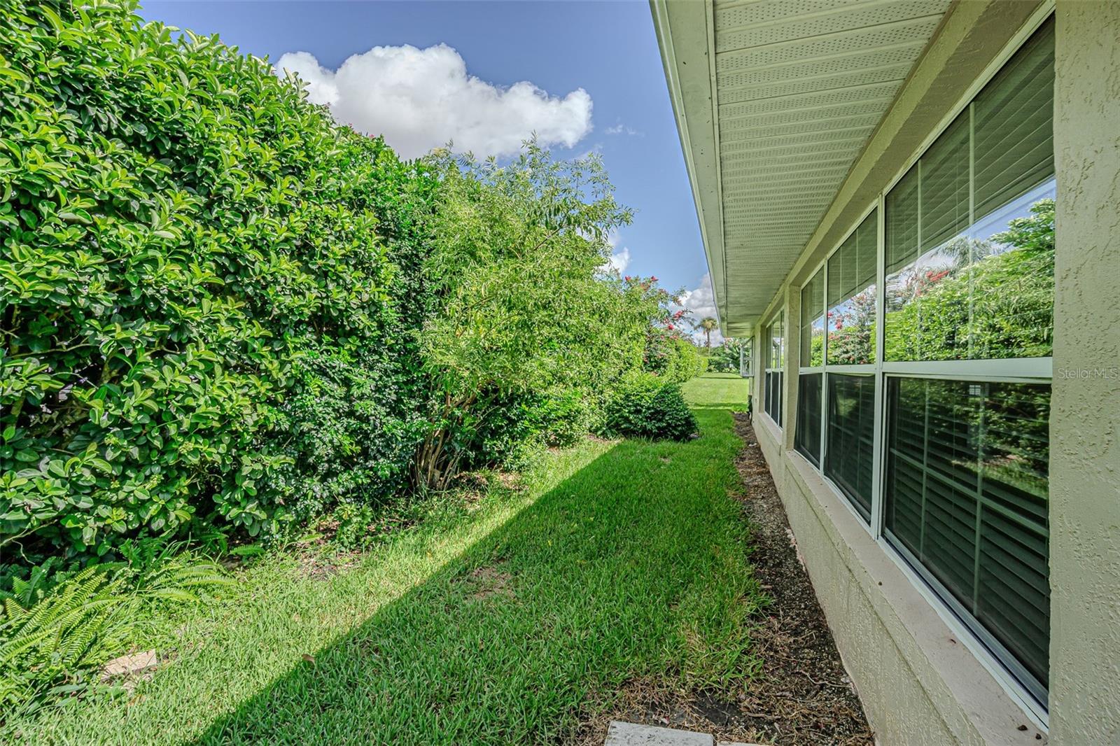 Private backyard