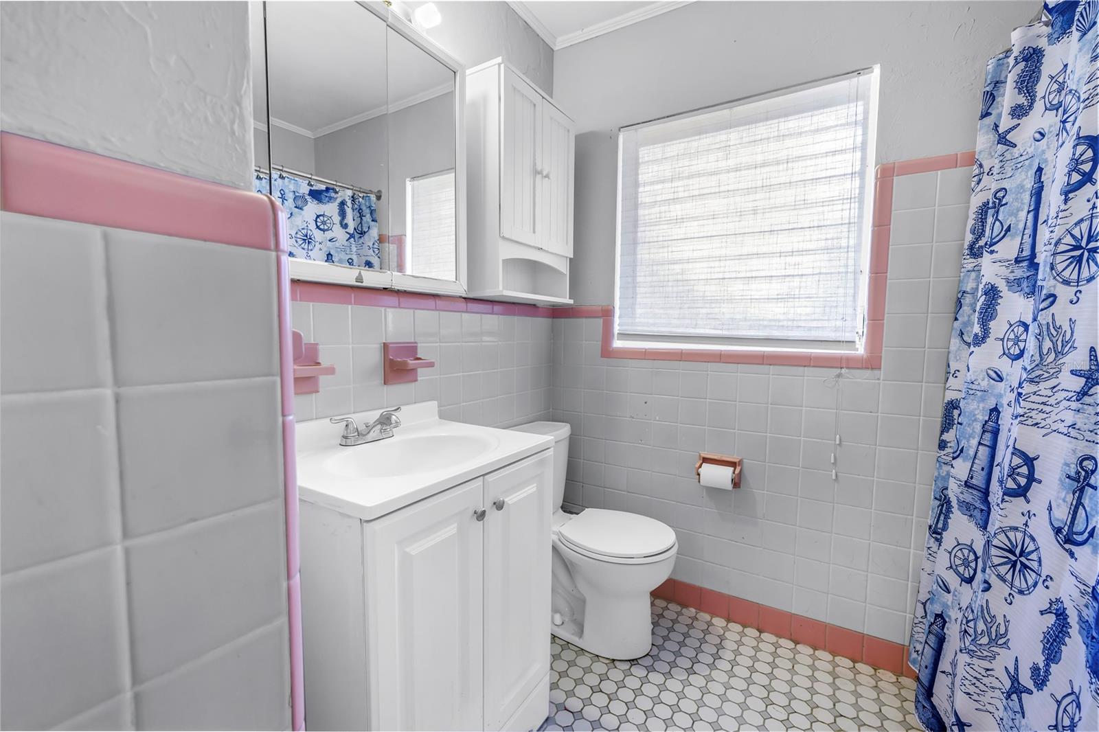 Hall bathroom