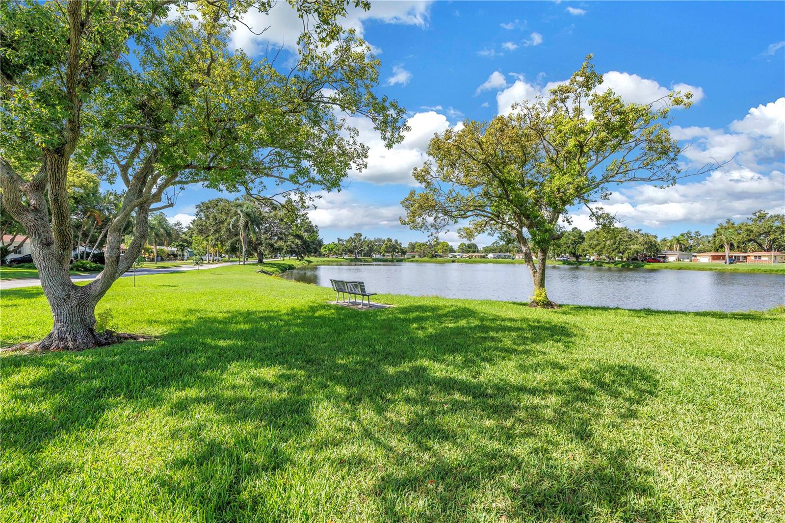 Leslee Lake - come meet your neighbors.