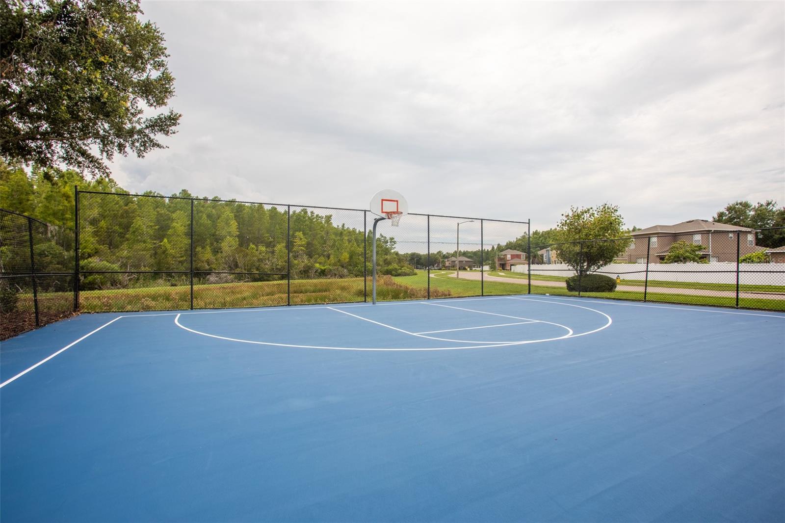 Basketball Court