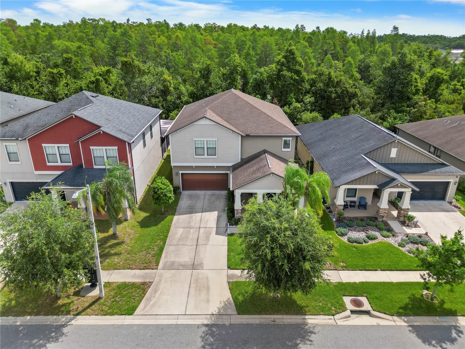 Ariel Street View