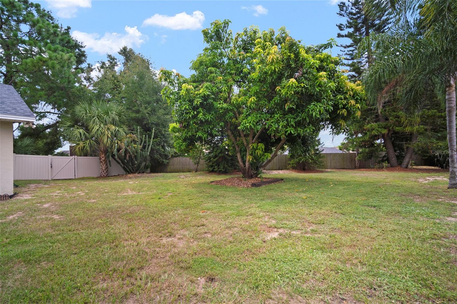 fenced rear yard
