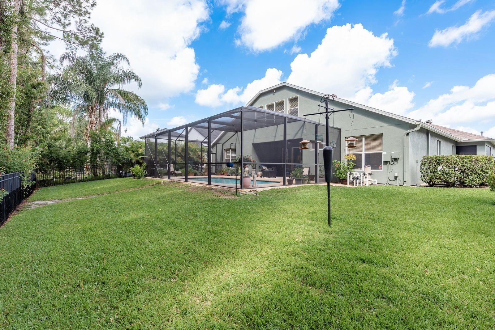 Backyard