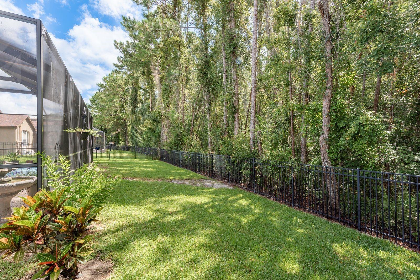 Fenced backyard