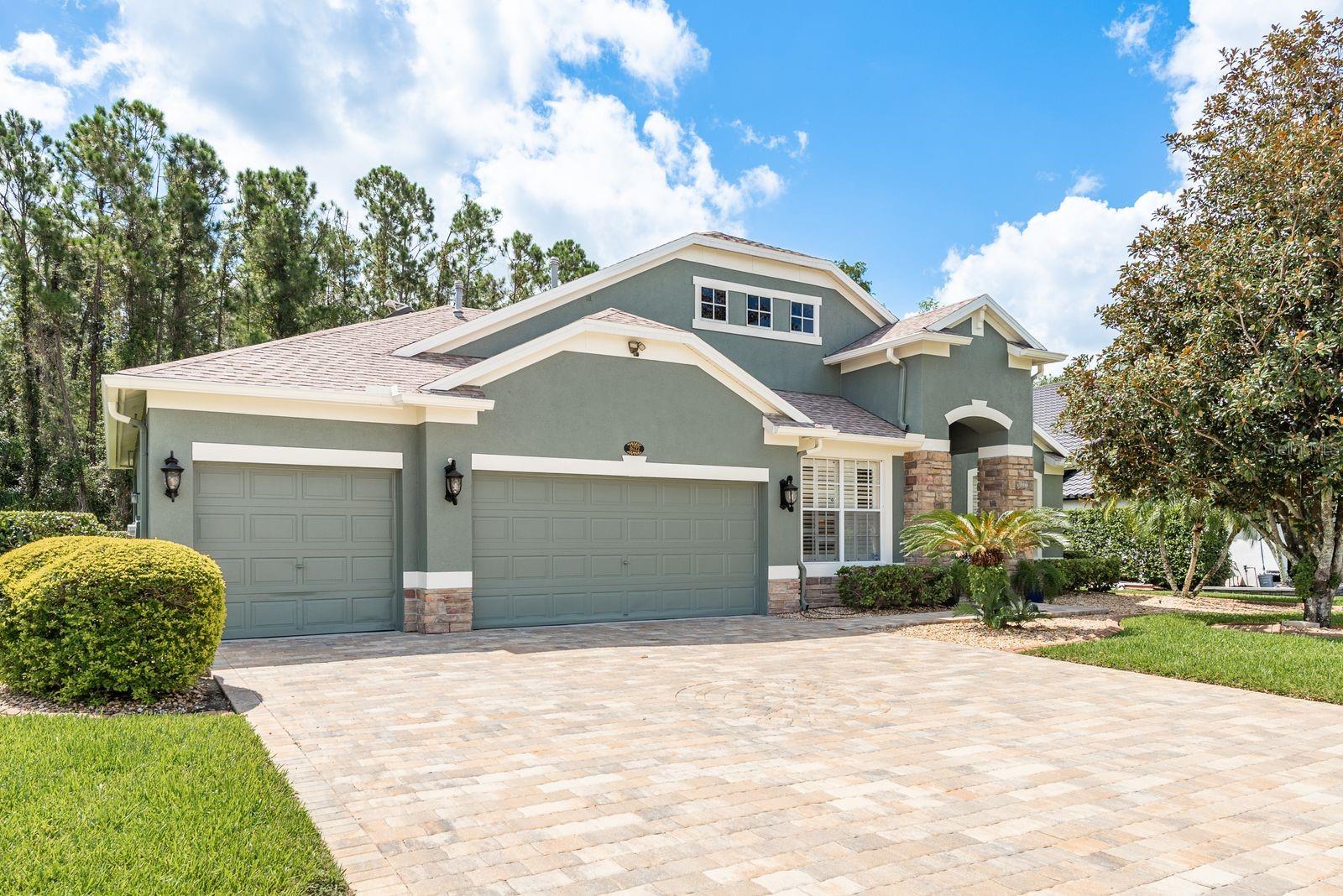 Driveway view