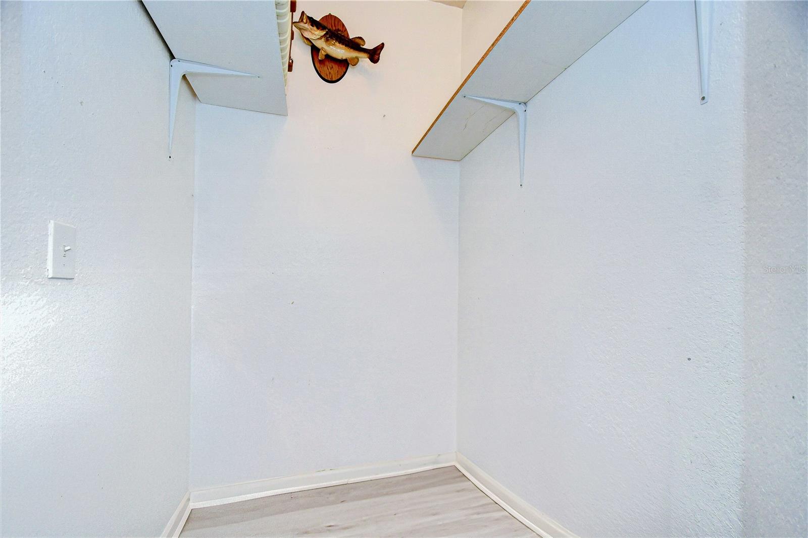 Large walk-in storage closet.
