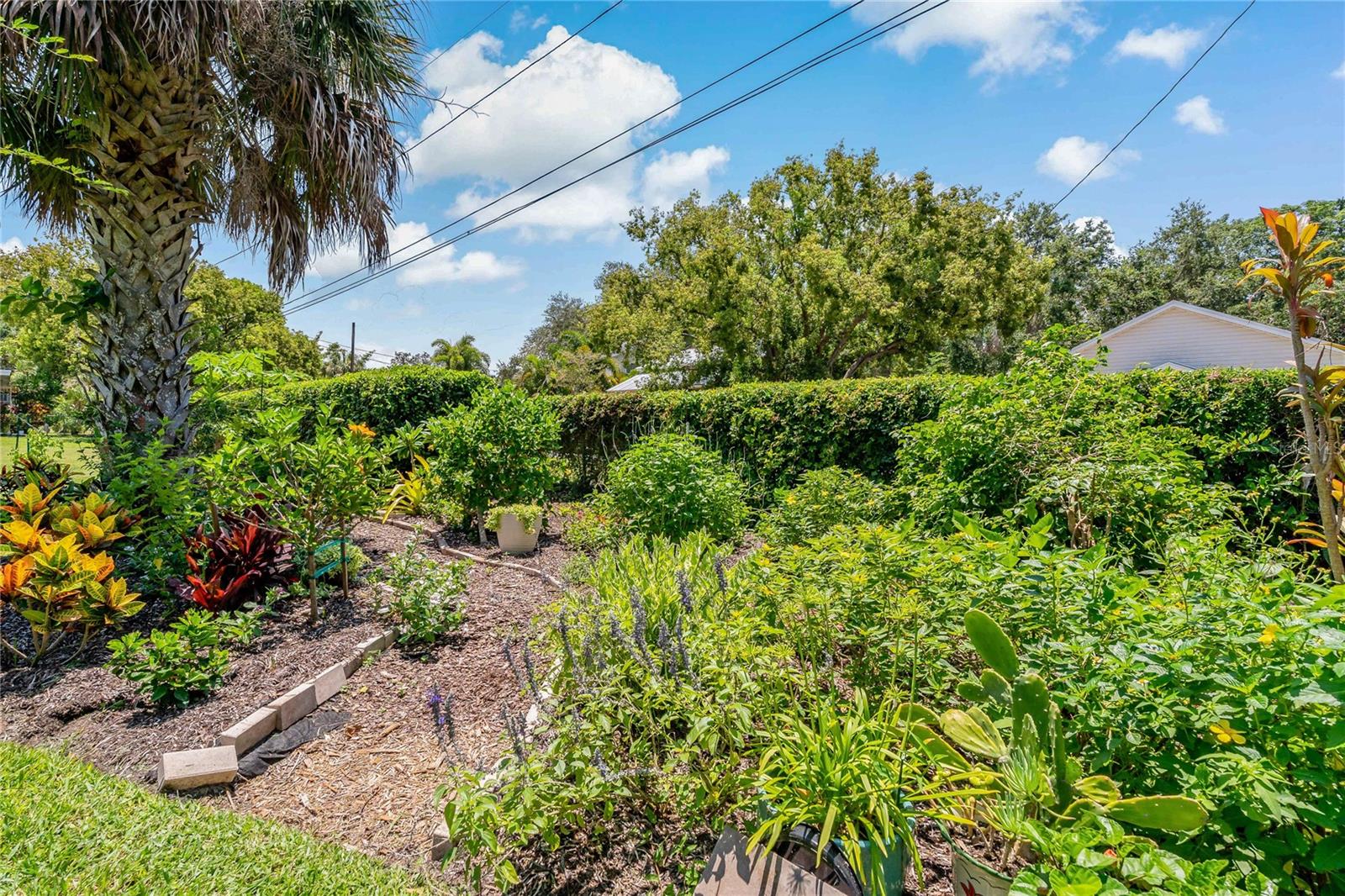 Beautiful Landscaping!