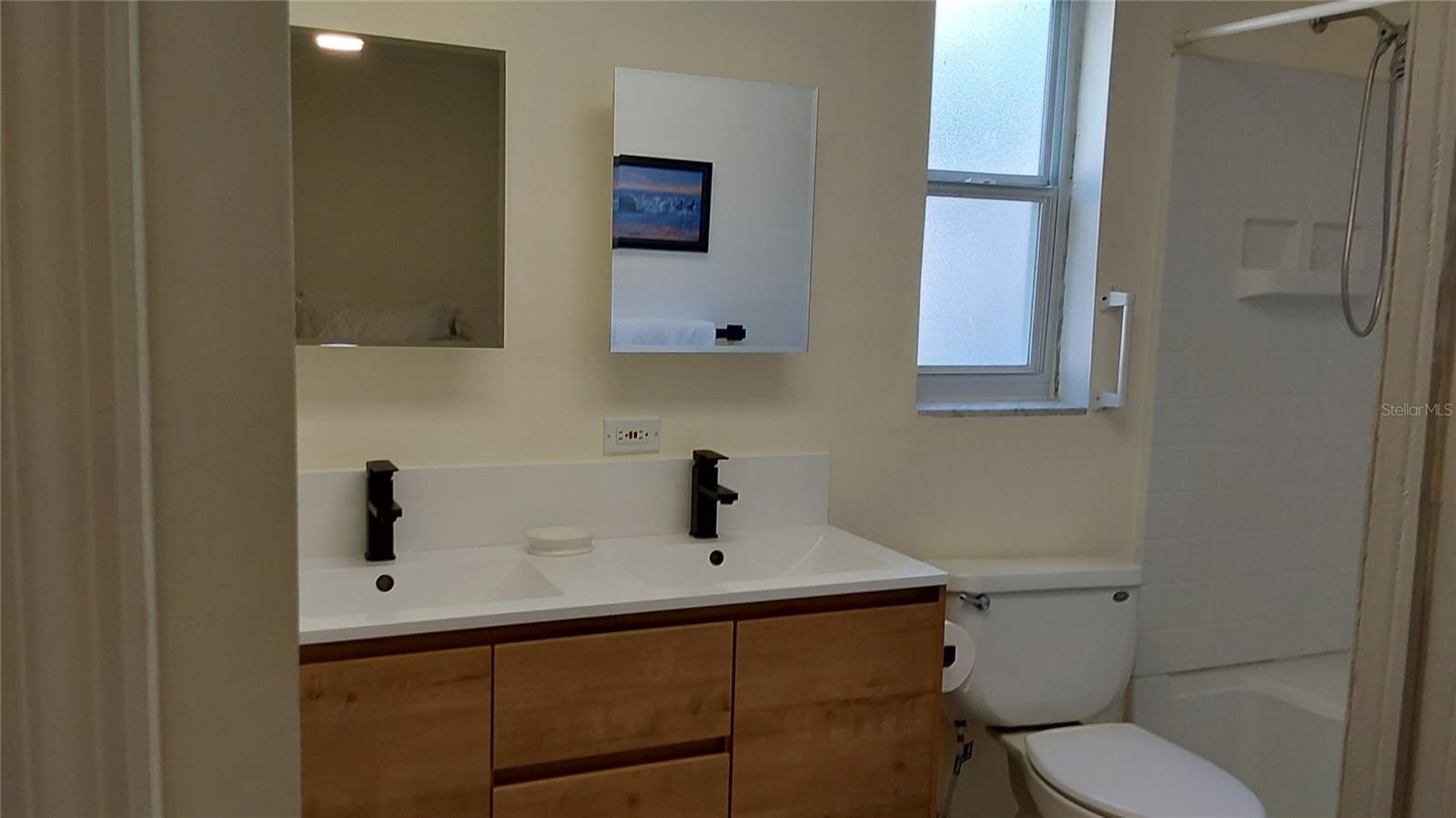 Masterbath dual sinks