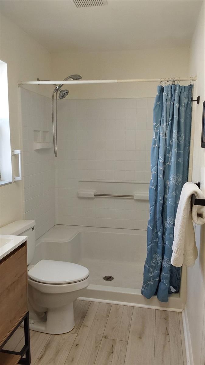 Master bath shower