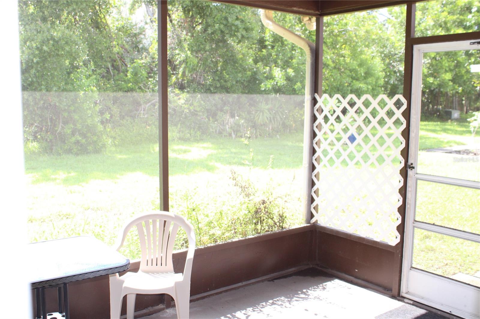 Big backyard
