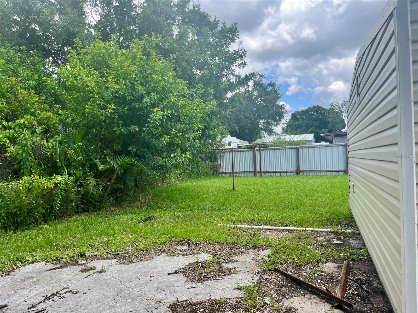 Back of the Shed