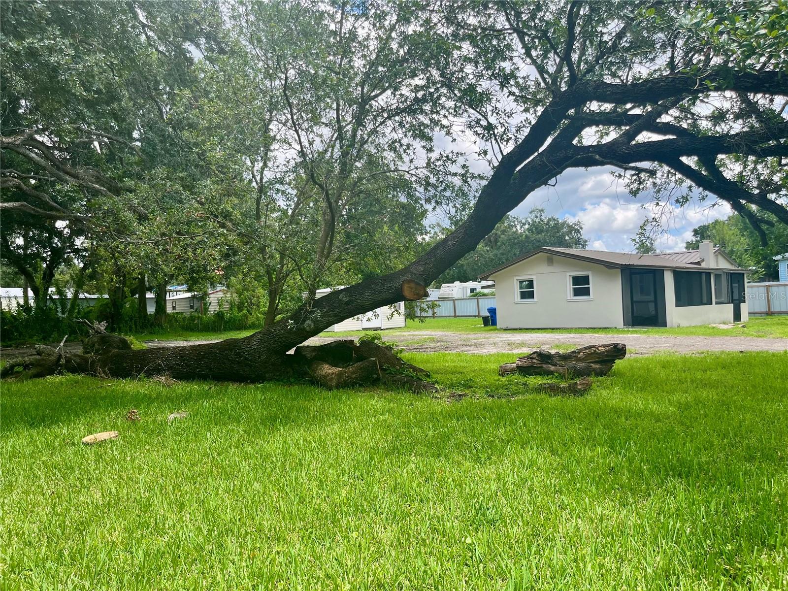Oversized Yard