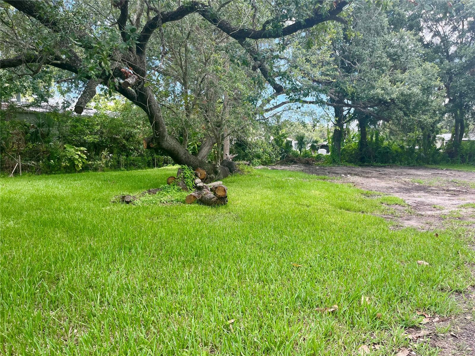 Oversized Yard
