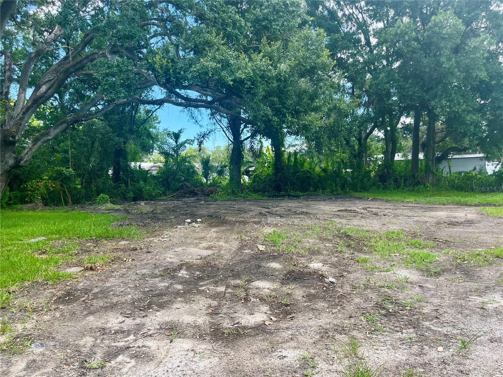 Oversized Yard