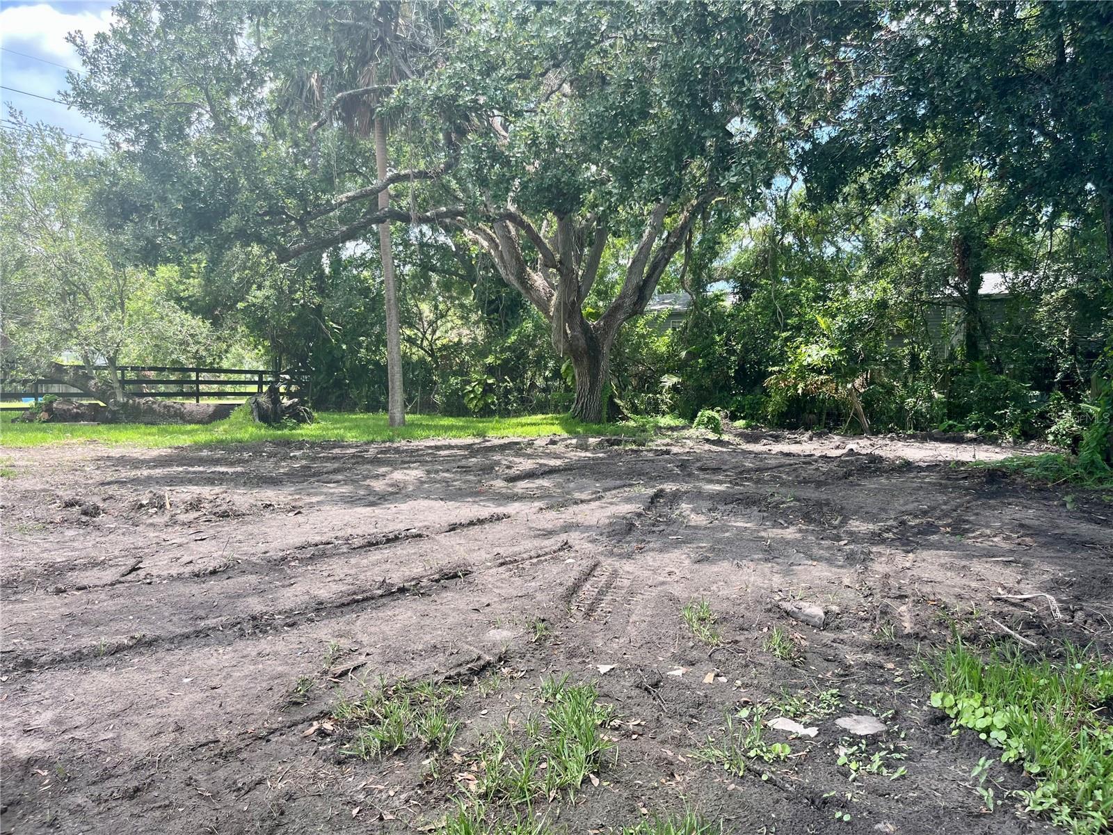 Oversized Yard