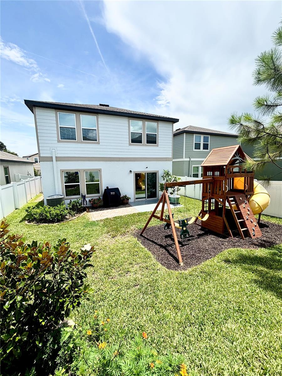 Backyard