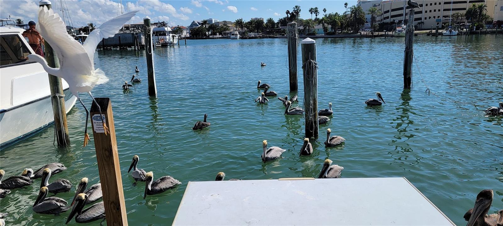 Clearwater Beach