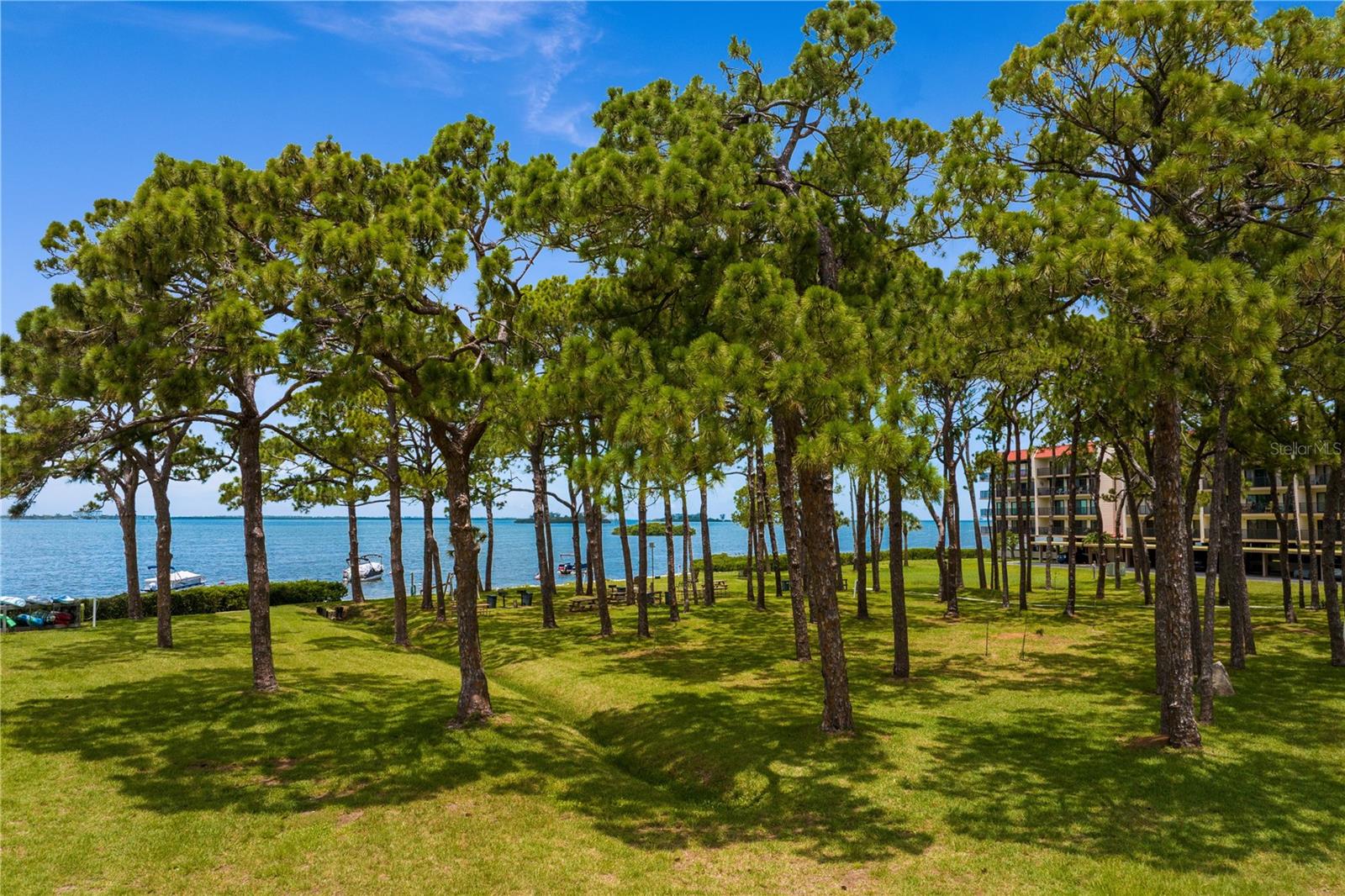 Park