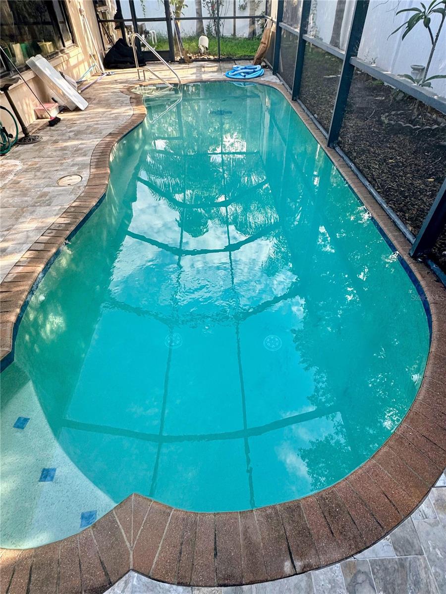 Your back yard oasis