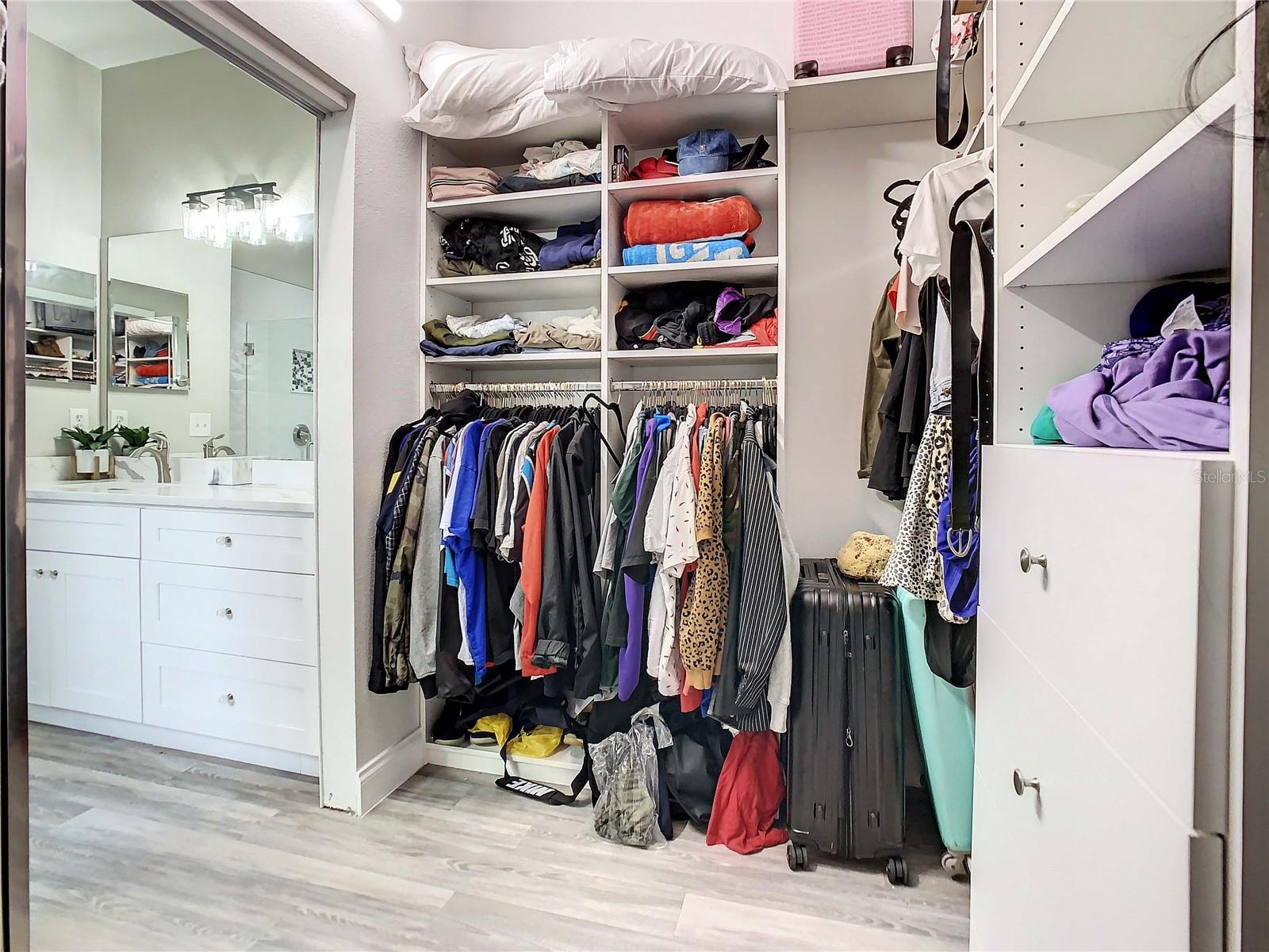 Walk-in Primary Closet