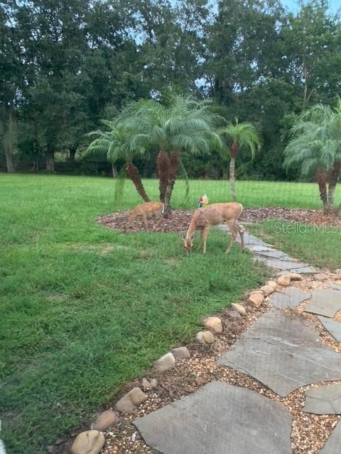 Regular Visitors