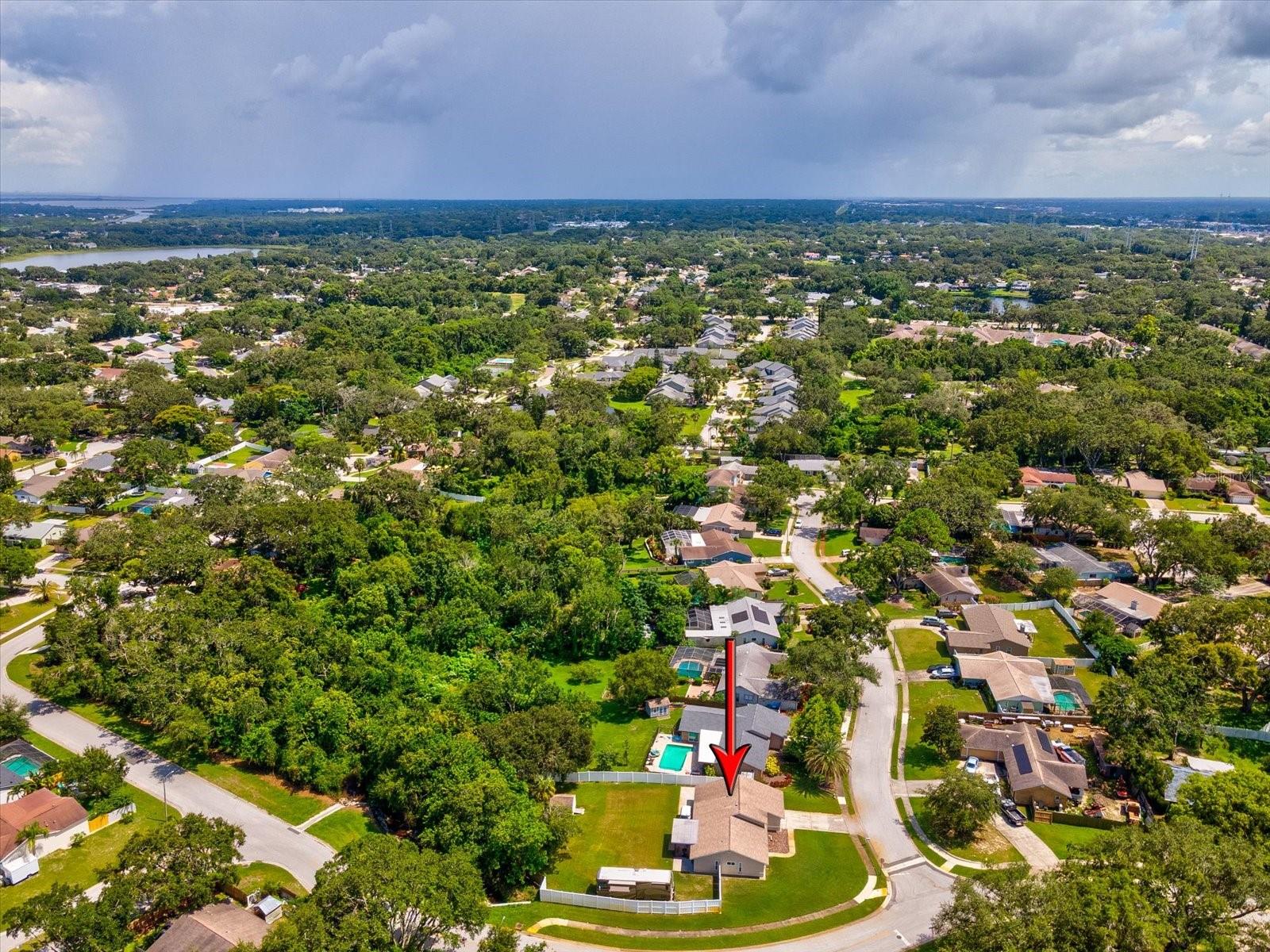 W7877398