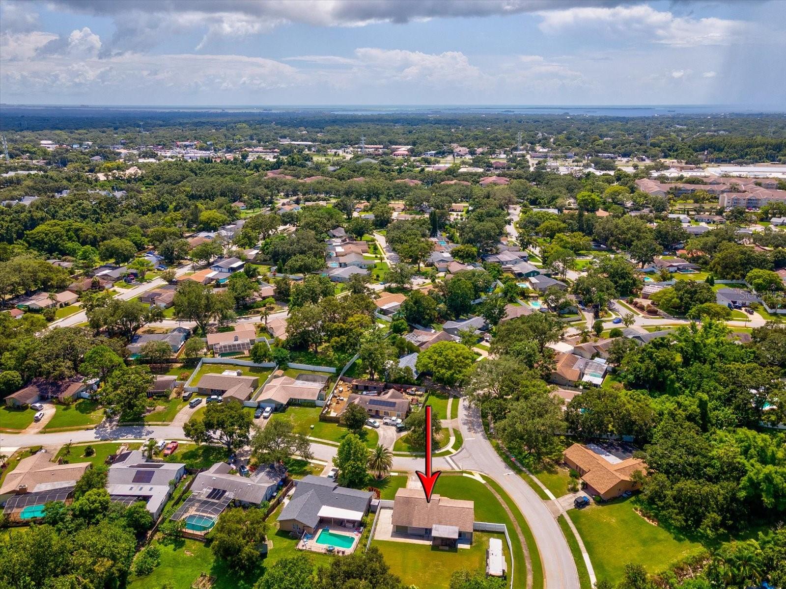 W7877398