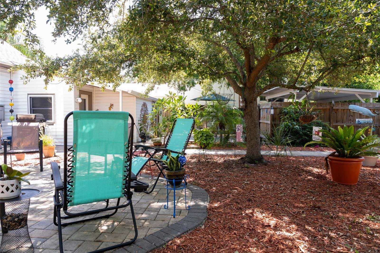 backyard