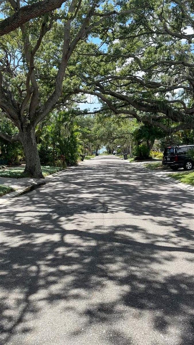 Street view of 29th Ave N towards Boca Ciega Bay