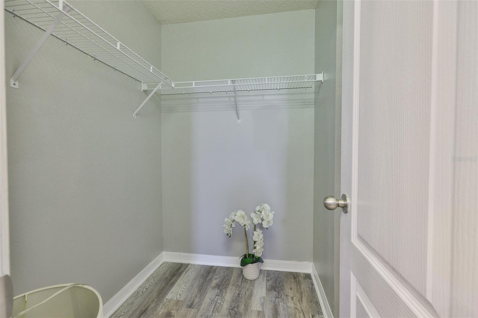 Primary closet