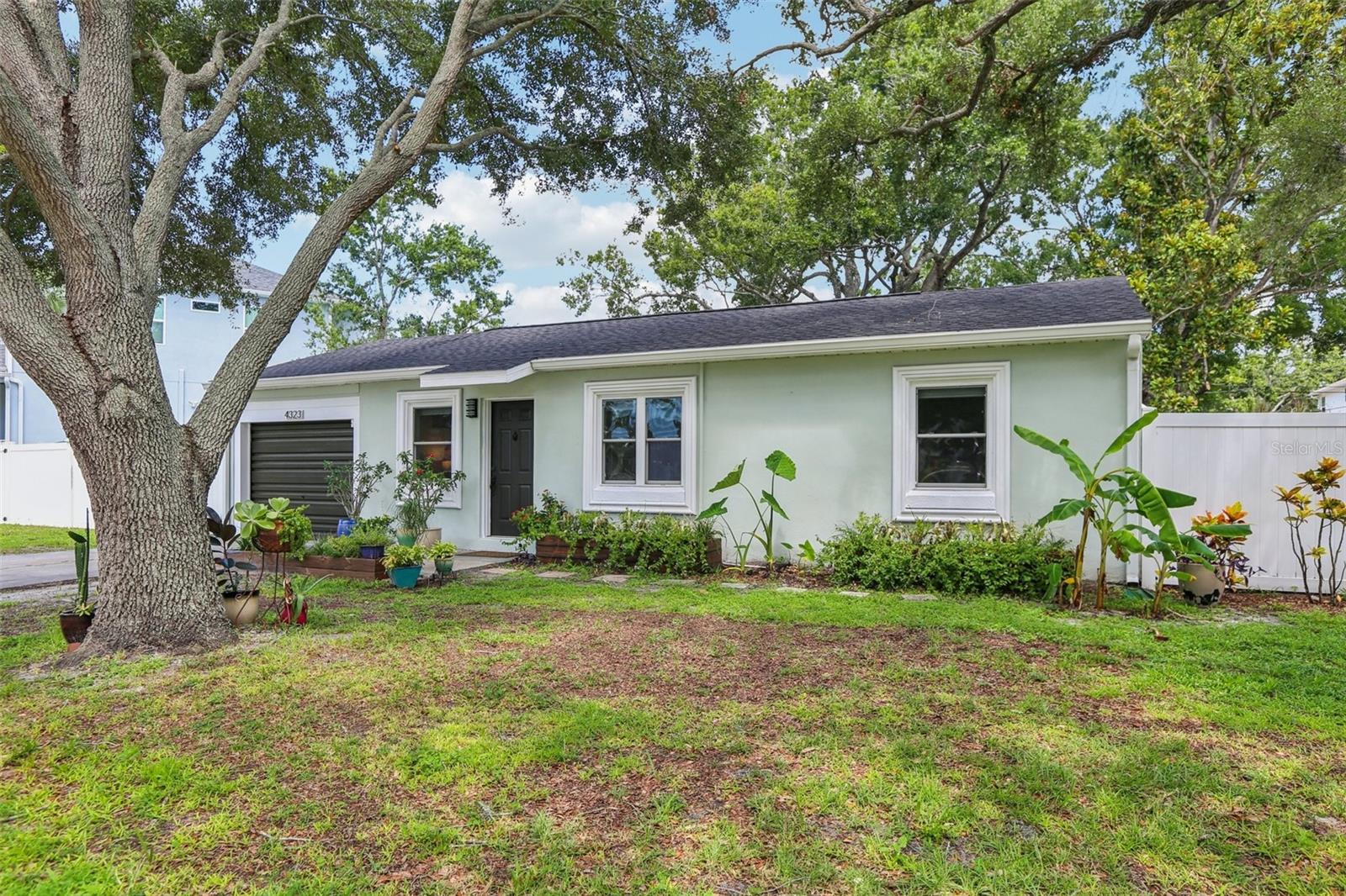 Front with large yard
