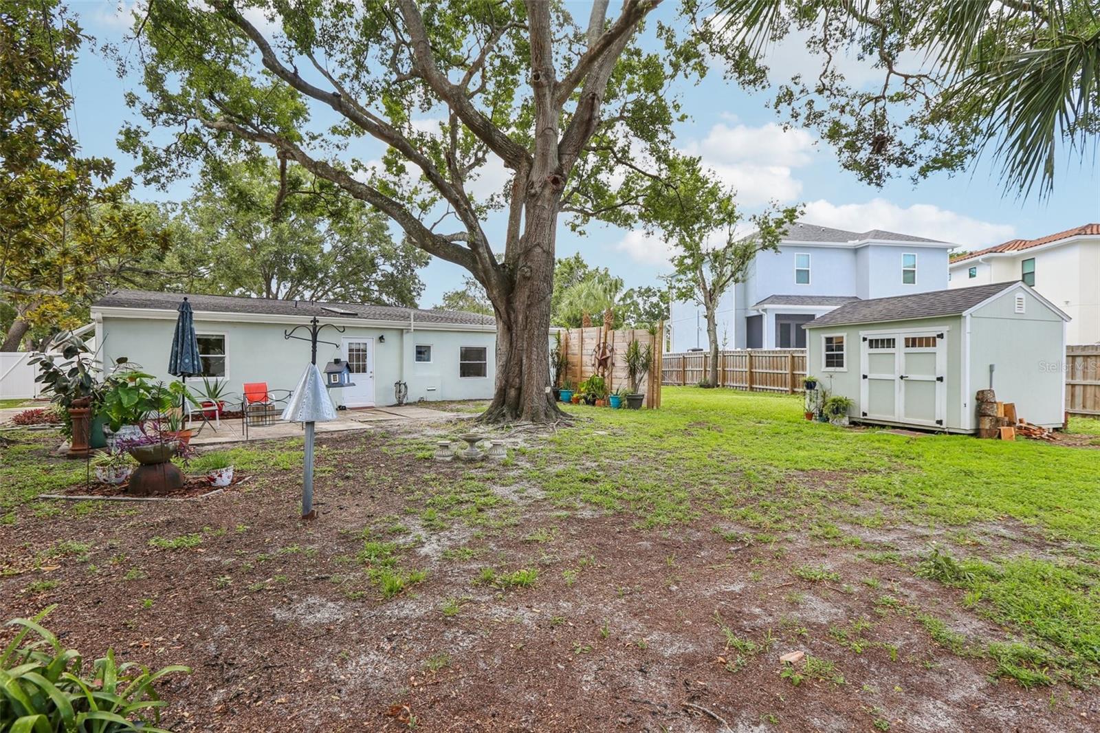 Fenced Backyard