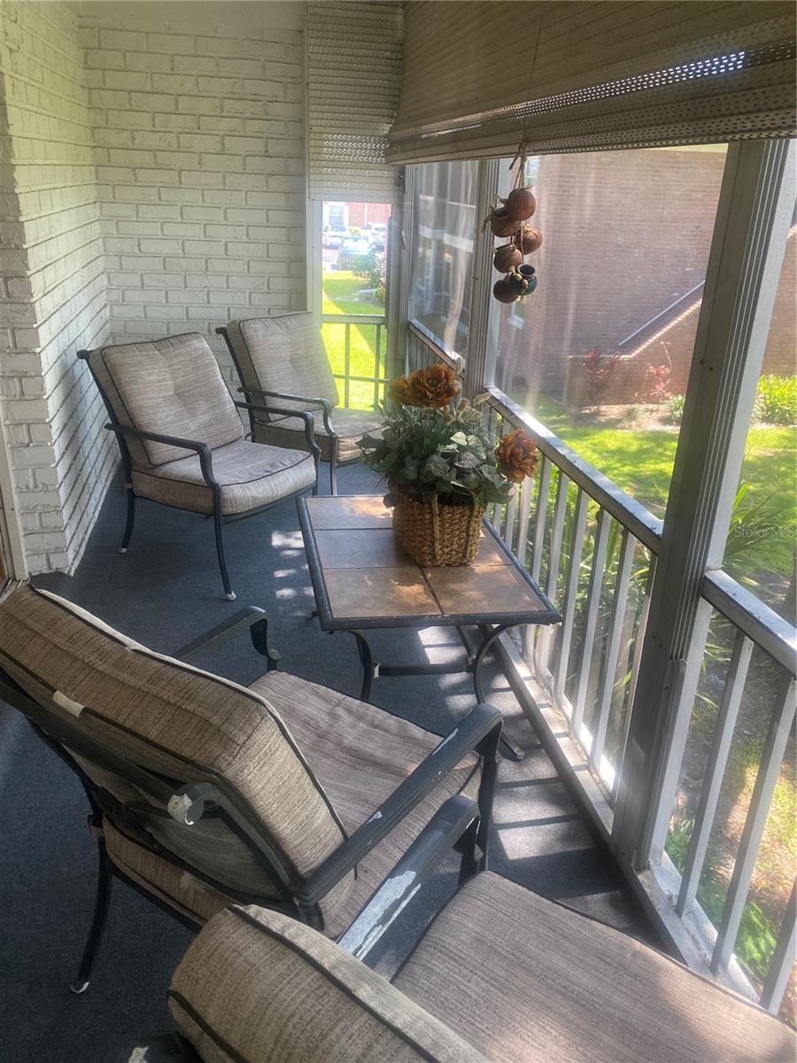 Screen lanai
