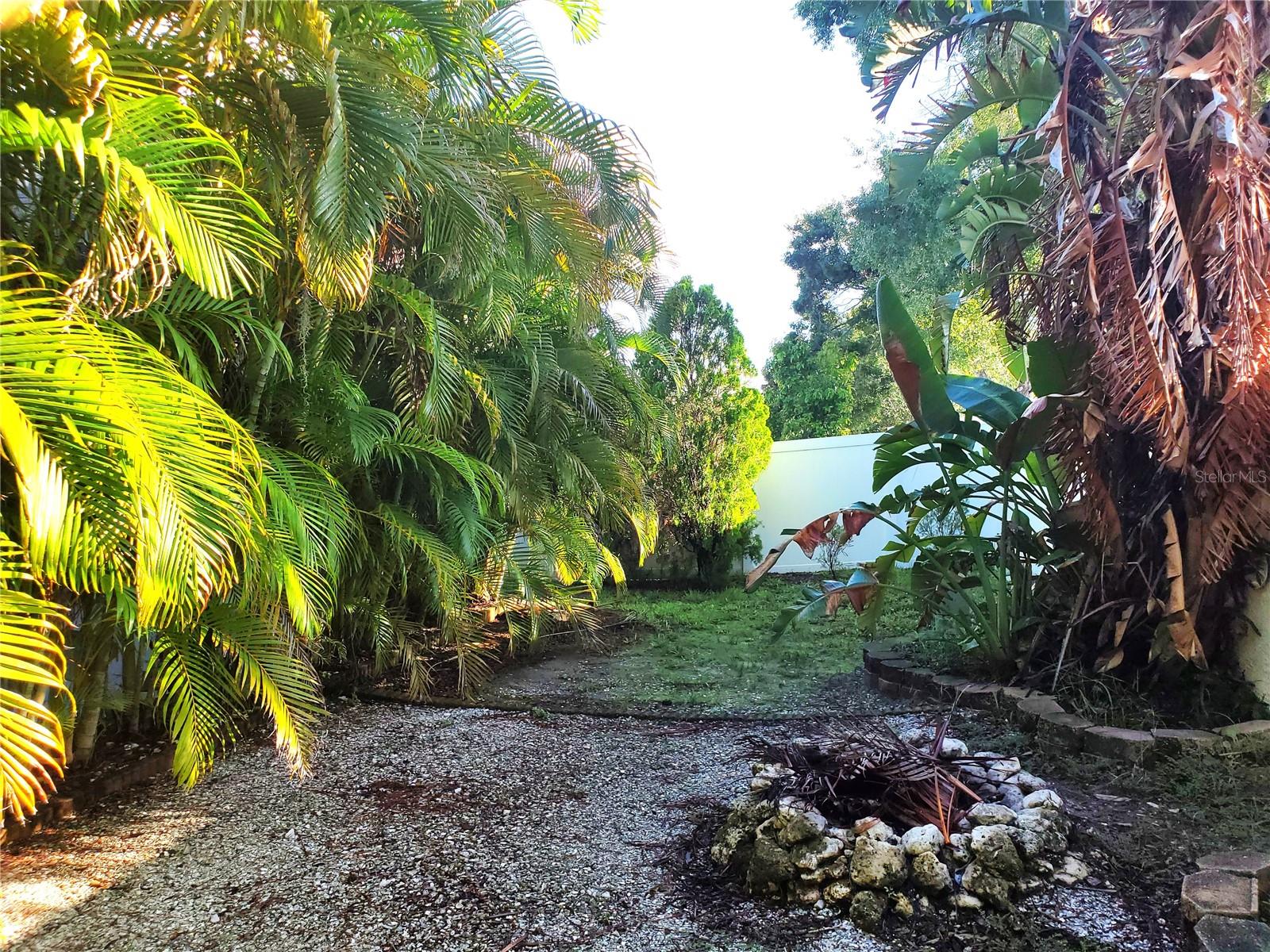 Back yard