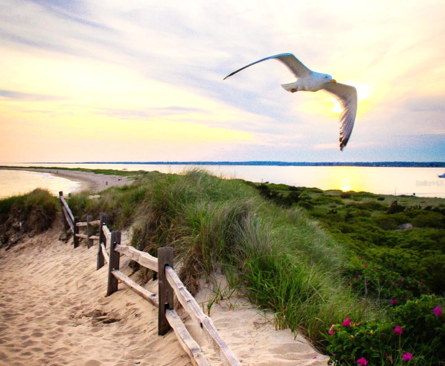 Honeymoon Island beach
