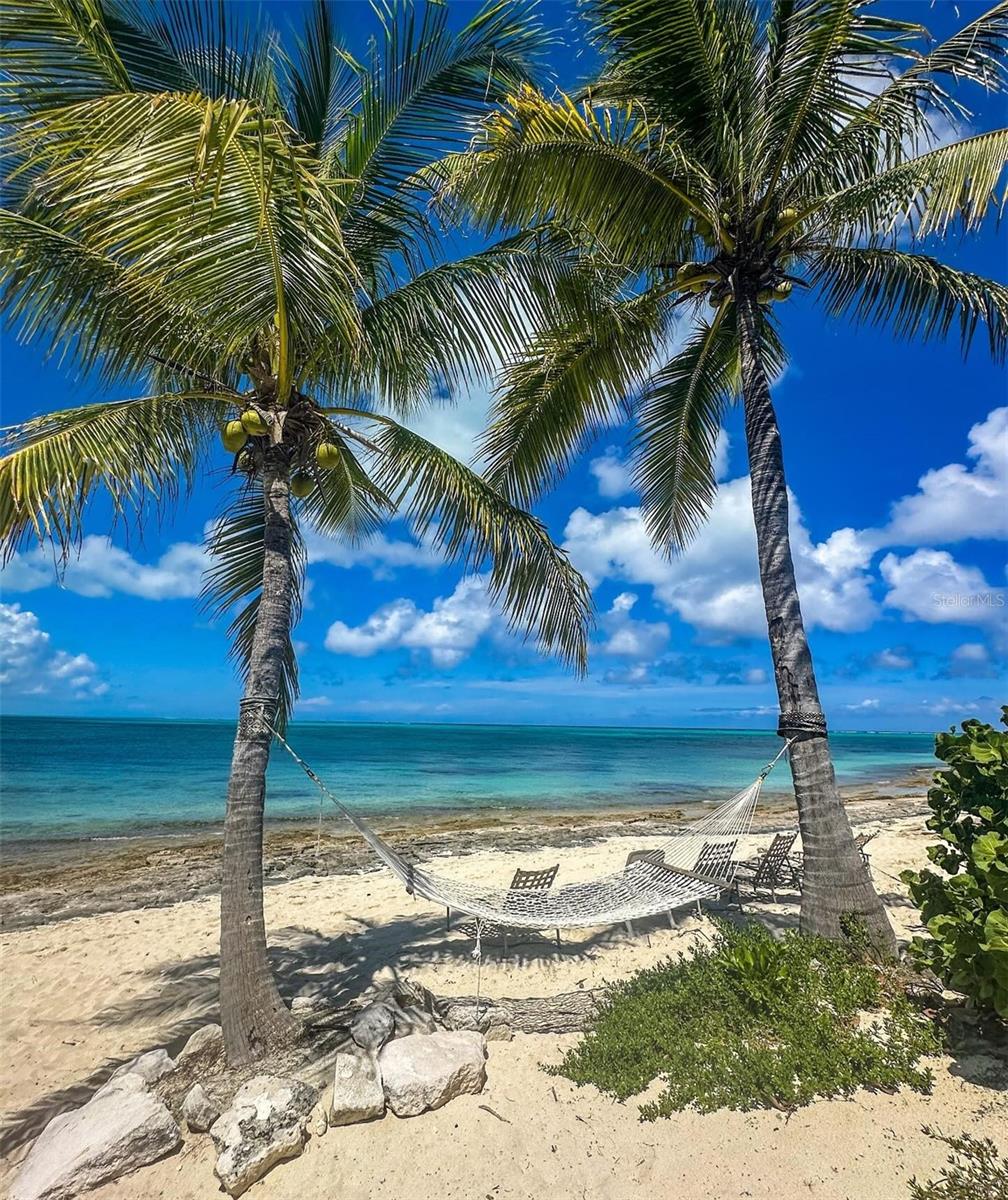 Honeymoon Island beach