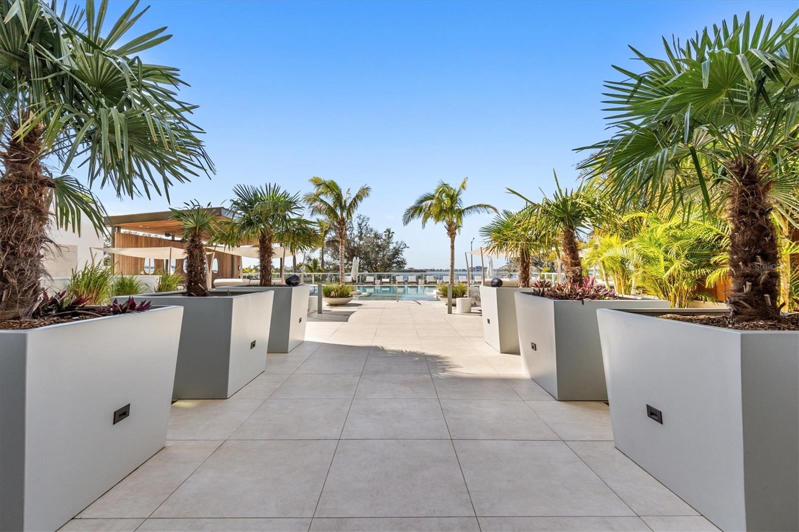 Palm Tree-lined Pool Entry from Lobby