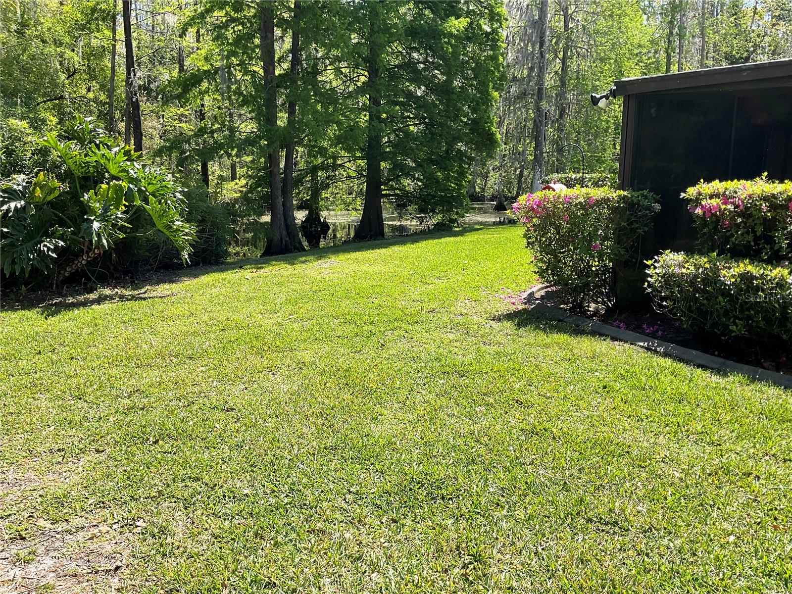 Large grassy area to main entrance