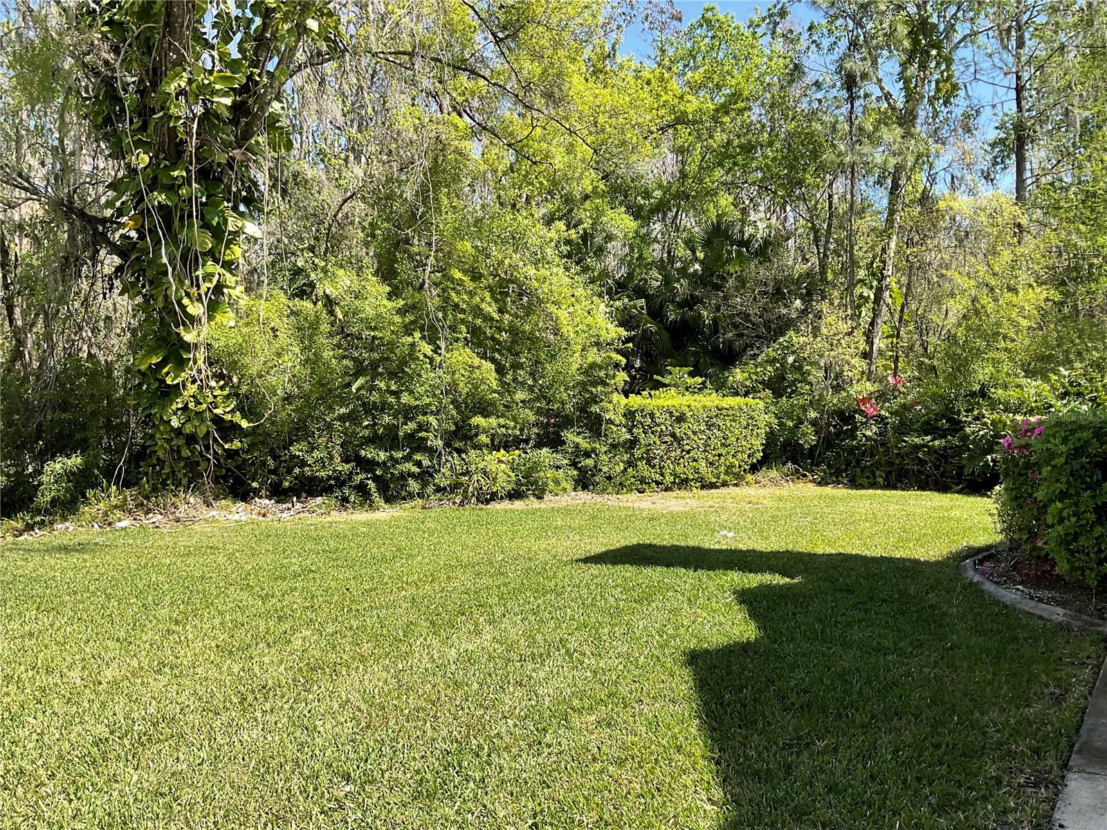 Grassy area continued