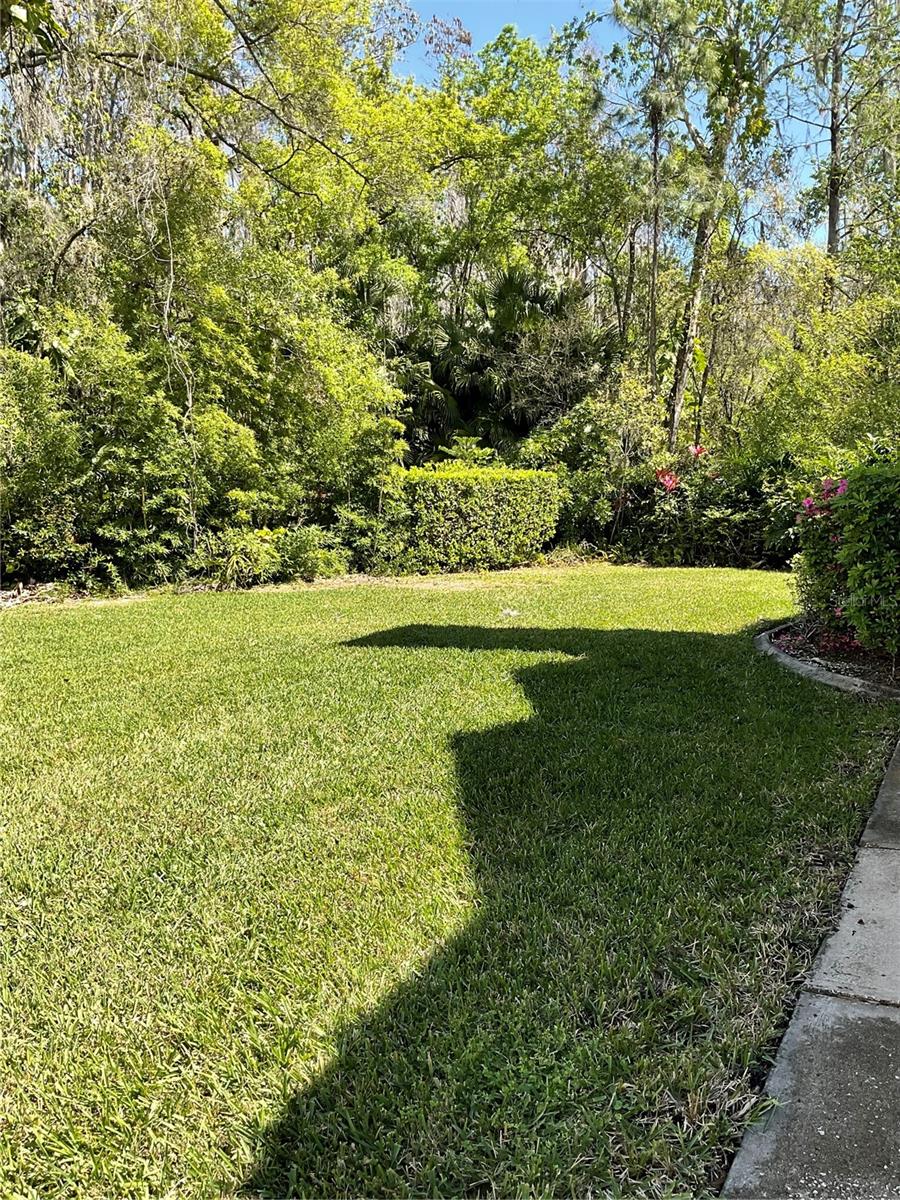 Grassy area in the rear