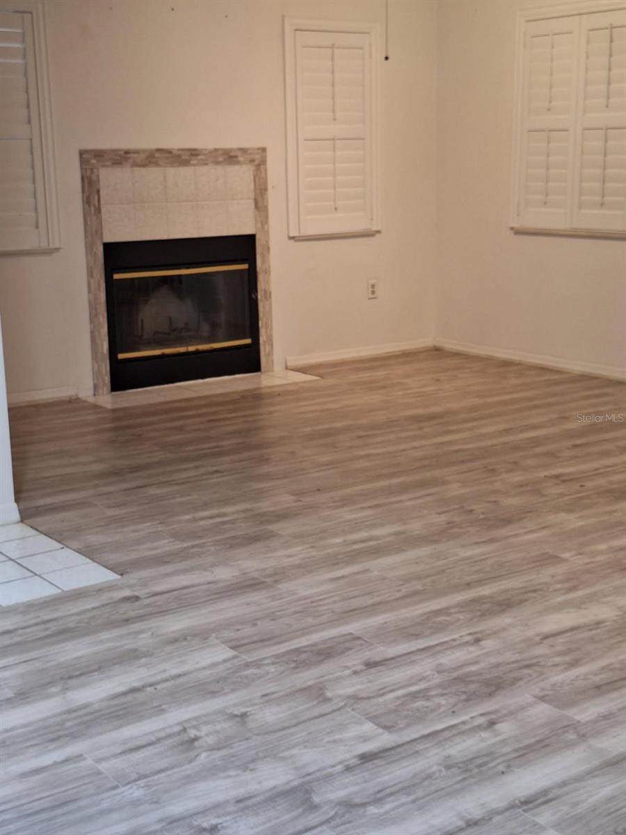 Livingroom Fireplace