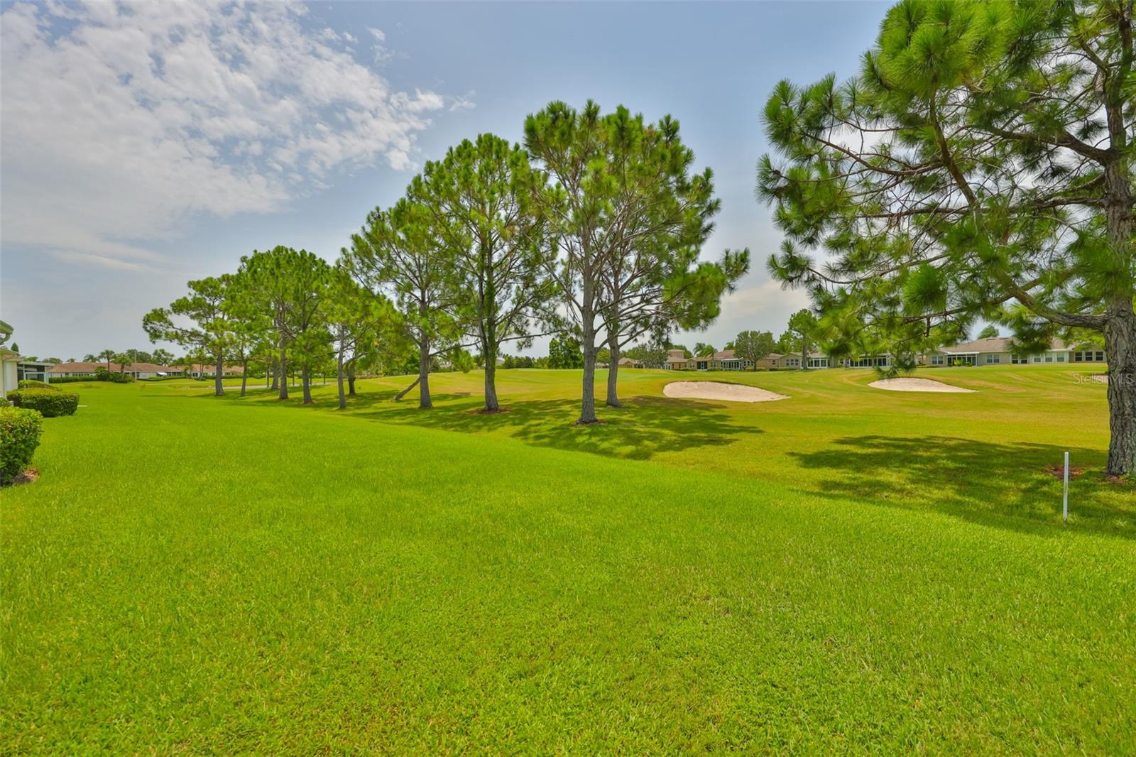 Backyard - golf course view.
