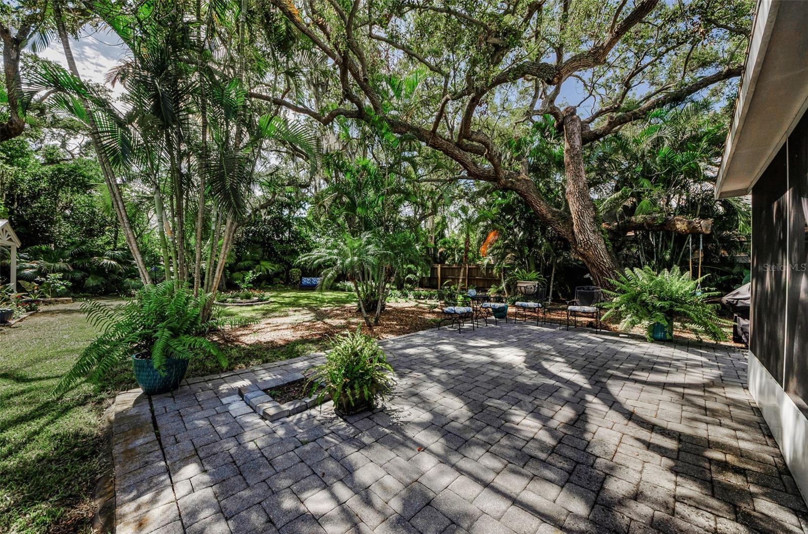 Back Patio