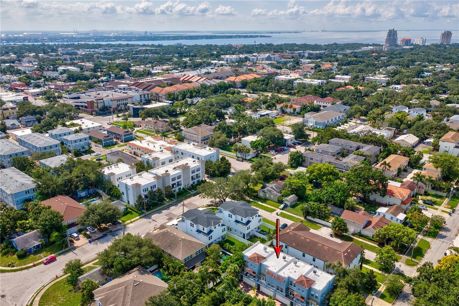 Near Bayshore Blvd.